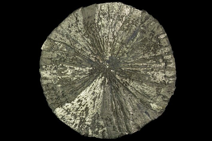 Beautiful Pyrite Sun - Sparta, Illinois #89703